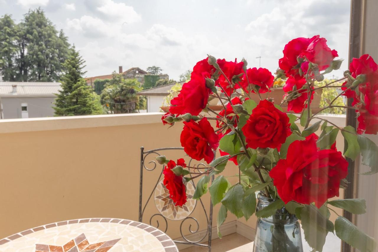 B&B Armonie Di Campagna Galliera Veneta 외부 사진